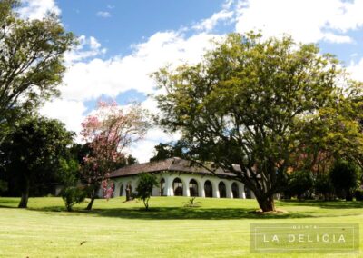 QUINTA LA DELICIA