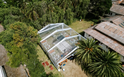 Tendencias 2025 para Bodas en Quito: Las Carpas Estructurales que Transforman tu Celebración con la Ayuda de HUMADI